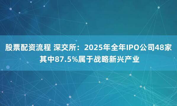 股票配资流程 深交所：2025年全年IPO公司48家 其中87.5%属于战略新兴产业