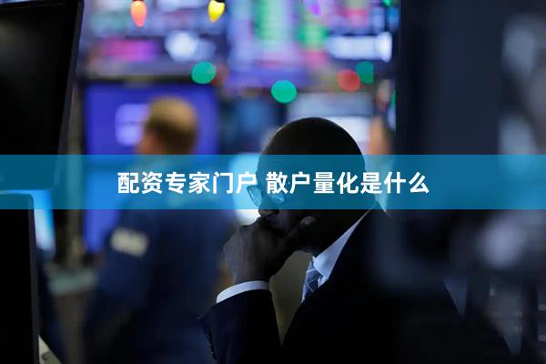 配资专家门户 散户量化是什么