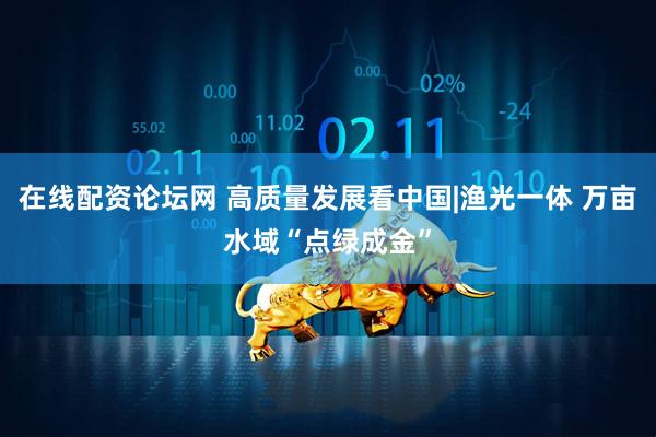在线配资论坛网 高质量发展看中国|渔光一体 万亩水域“点绿成金”